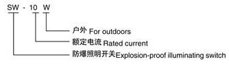 SW-10防爆照明开关