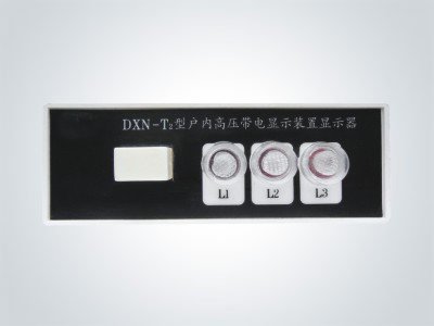 Ⅱ型显示器  DXN2-□-T