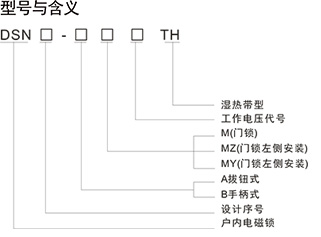 DSN-DMY(Z)手柄式电磁锁(含带电显示功能)