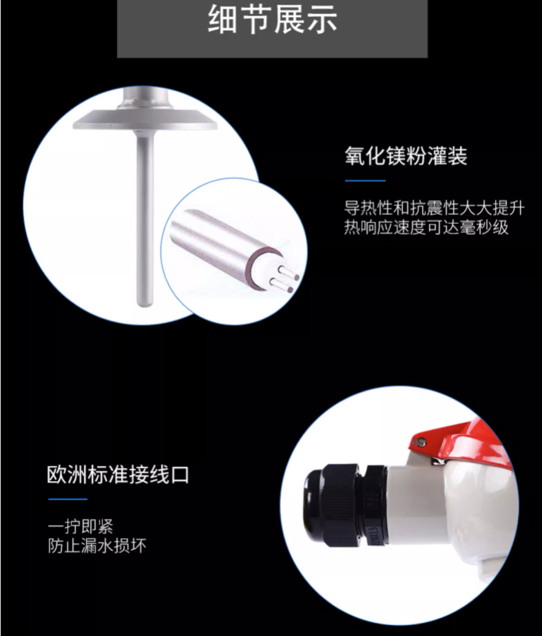 SIN-WZPK_铠装热电阻_法兰安装