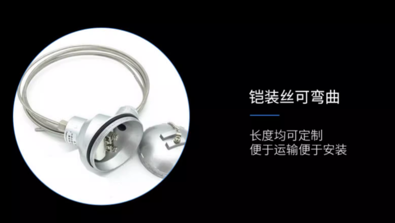 SIN-WZPK_铠装热电阻_法兰安装