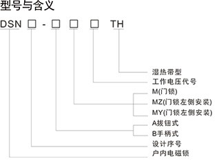 DSN-AMY(Z)拔扭式电磁锁