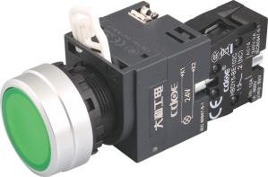 HBDY5-KW-/△/D系列喷漆塑料头部按钮