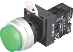 HBDY5-KW-/△/G系列喷漆塑料头部按钮